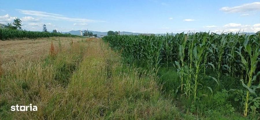 Teren de 1000 mp, în Copăcelu