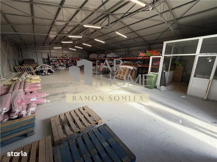 Vanzare Hala si teren industrial in Paulestii noi , Prahova - 16