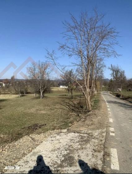 Teren de 2905 mp, în Dumbrăvița