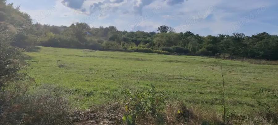 Teren de 3500 mp, în Ciurea