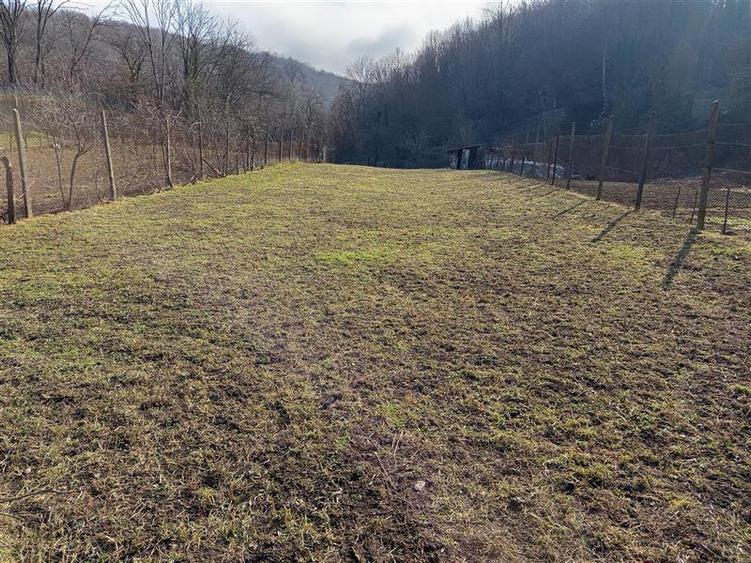 Casă individuală cu 10 camere cu Teren 1439 Mp în Ciclova Română