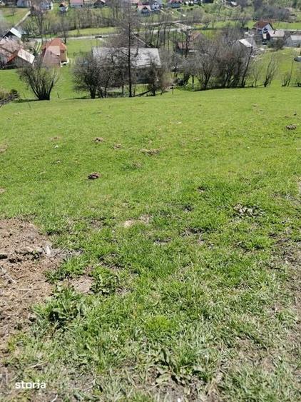 Teren de 10050 mp, în Moieciu