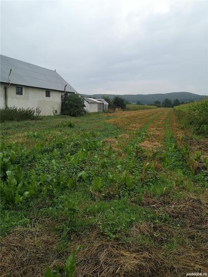 Teren de 3185 mp, în Central