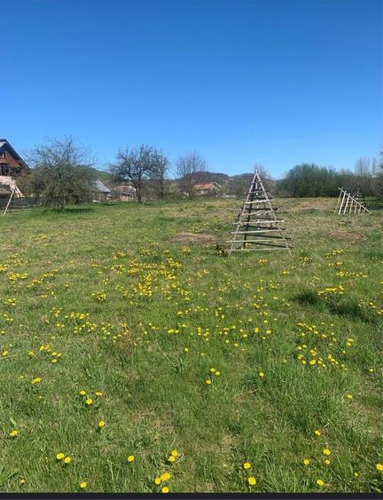 Teren de 3734 mp, în Albești