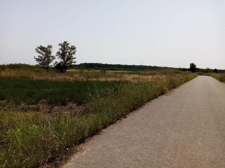 Teren Construcții intravilan de 4546 mp, în Corbeanca