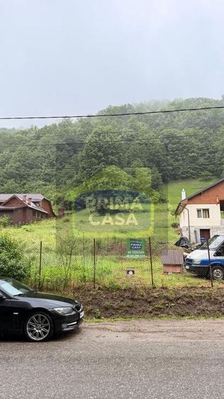 Teren Construcții intravilan de 6200 mp, în Tăuții-Măgherăuș