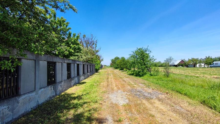 Teren Construcții intravilan de 3000 mp, în Domnești
