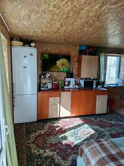 Casă cu 2 camere cu Teren 3868 Mp în Bârsănești