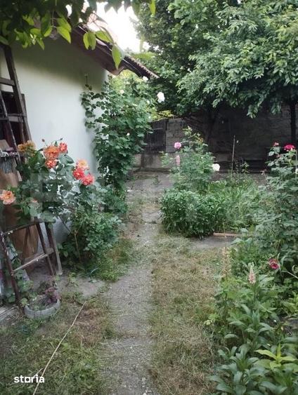 Casă cu 3 camere cu Teren 268 Mp în Central