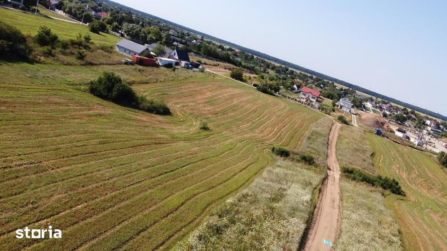 Teren intravilan 10.789 mp in Snagov - 3