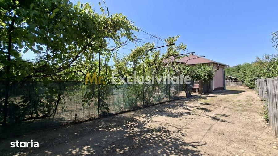 Casă cu 3 camere cu Teren 1667 Mp în Produlești