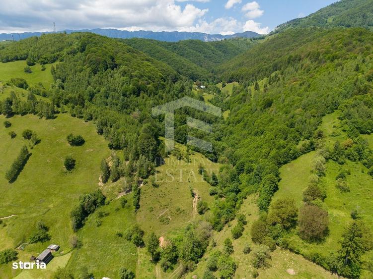 Spațiu comercial, în Moieciu