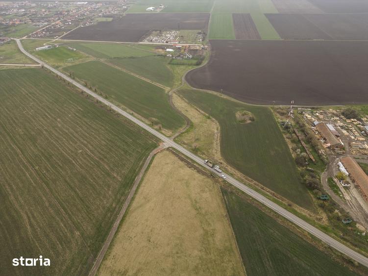 Teren 76.000mp intre Santana ?i Caporal Alexa - 4