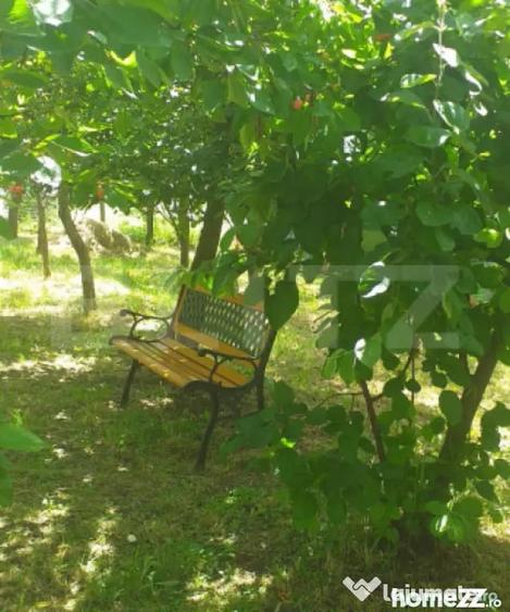 Teren în Central