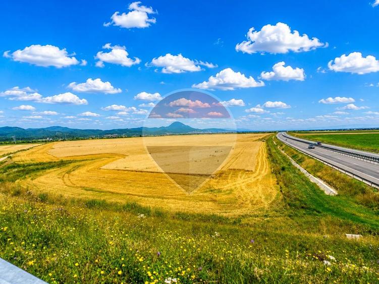 Teren agricol extravilan de 17000 mp, în ISR