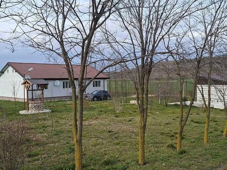 Teren de 90000 mp, în Peștera