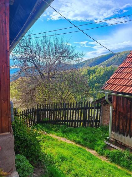 Casă cu 4 camere cu Teren 49690 Mp în Boș