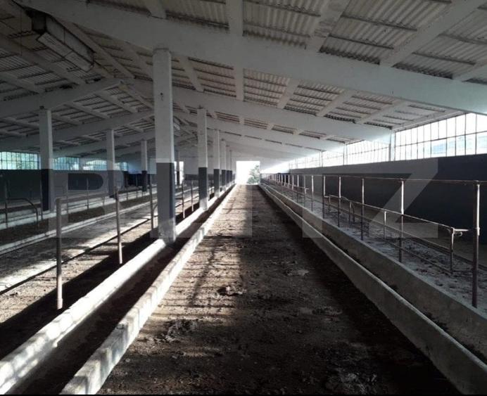 Teren Construcții intravilan de 950000 mp, în Exterior Nord