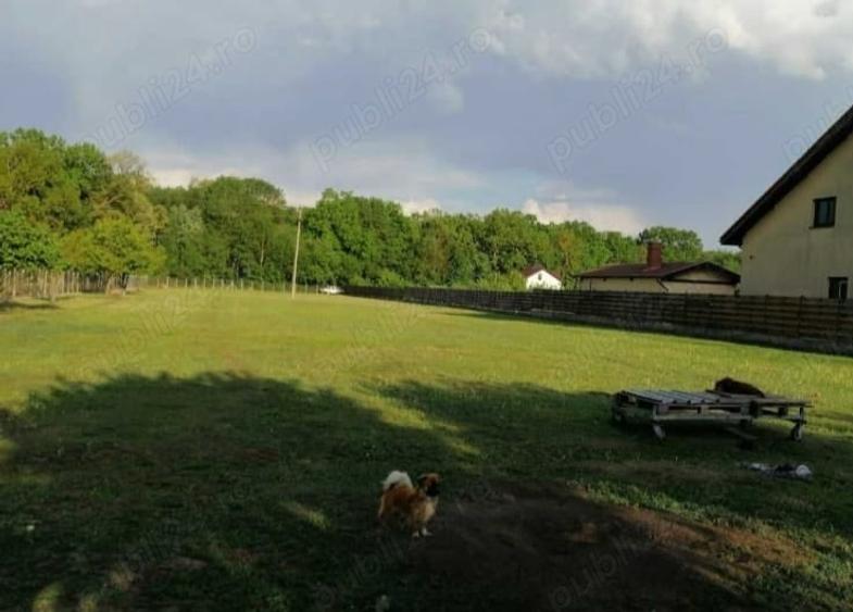Teren de 6000 mp, în Nord