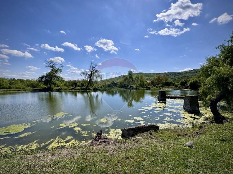 Proprietate specială, de 2,497 mp, în Central