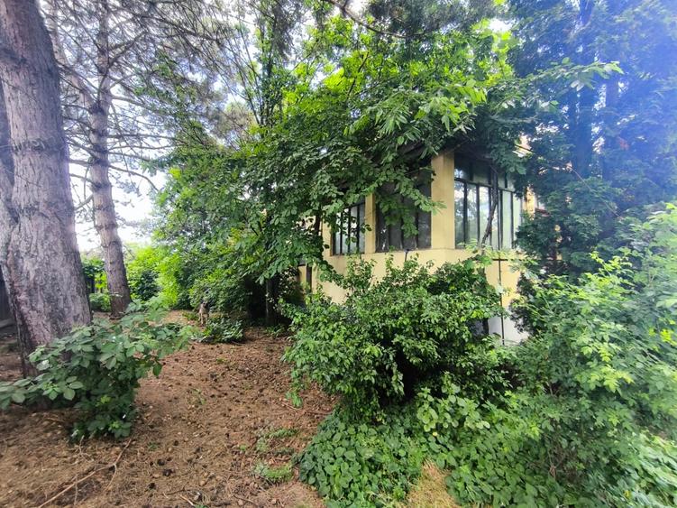 Casă individuală cu 2 camere cu Teren 7592 Mp în Dochia