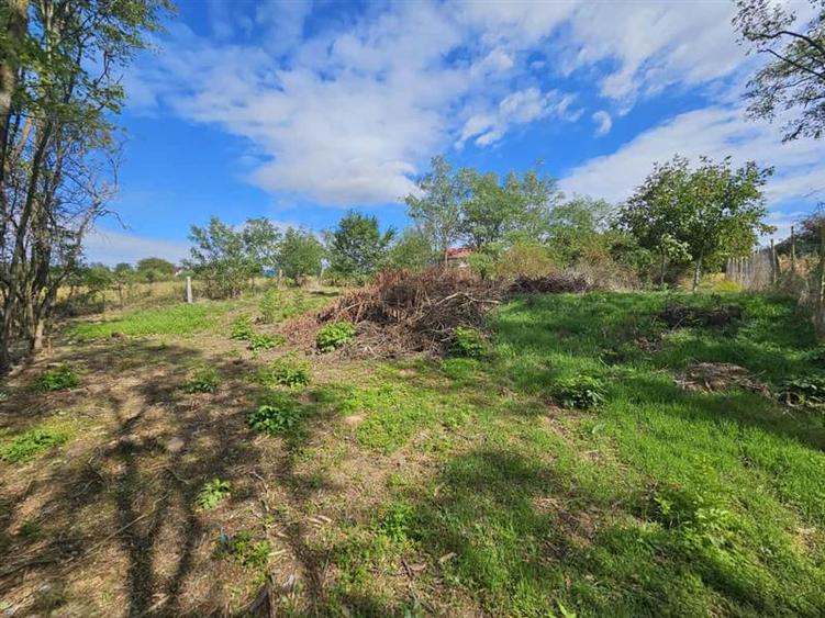 Teren Construcții intravilan de 950 mp, în Aroneanu