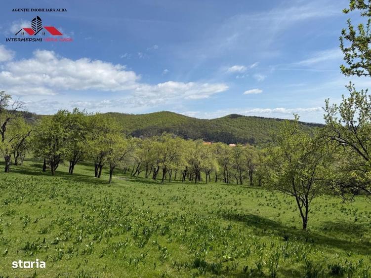 Spațiu comercial, în Valea Vințului