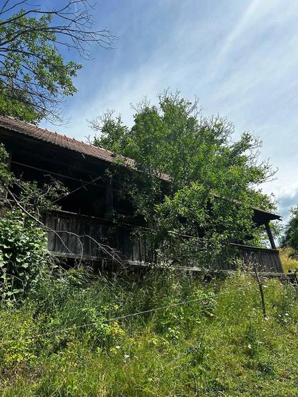 Teren de 5833 mp, în Bistra