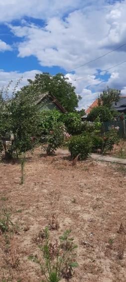 Casă individuală cu 3 camere cu Teren 1239 Mp în Nord-Vest