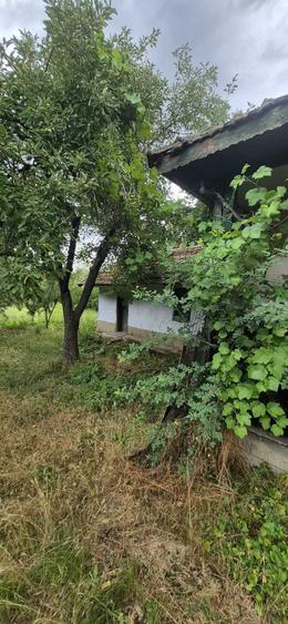 Casă cu 3 camere în Răsuceni