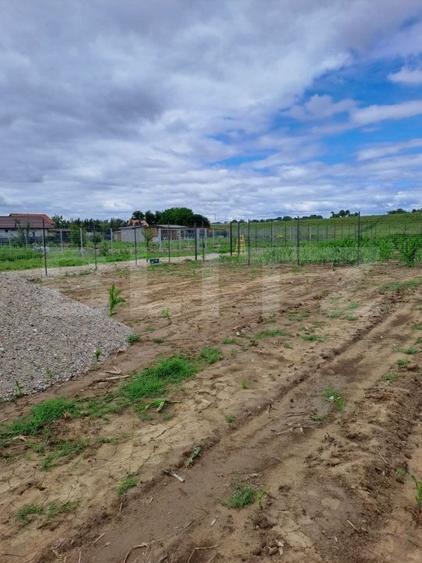 Teren Construcții extravilan de 800 mp, în Careiului