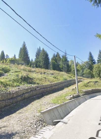 Teren de 5000 mp, în Central
