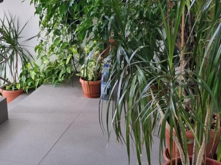 Apartament cu 2 camere semidecomandat în Baba Novac