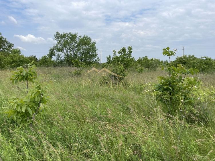 Teren Construcții intravilan de 1439 mp, în Crețești