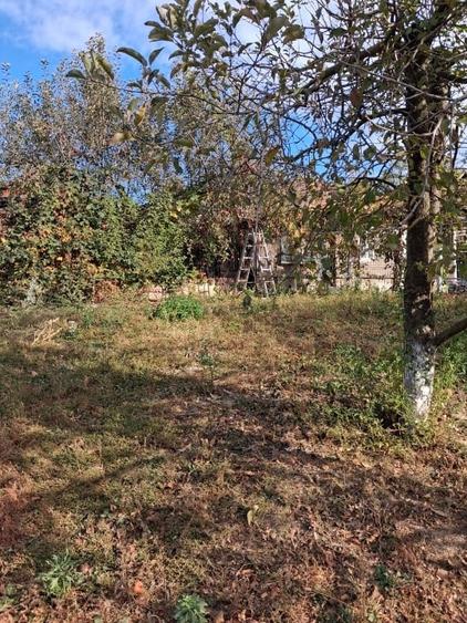 Teren Construcții intravilan de 750 mp, în Cocorăștii Mislii