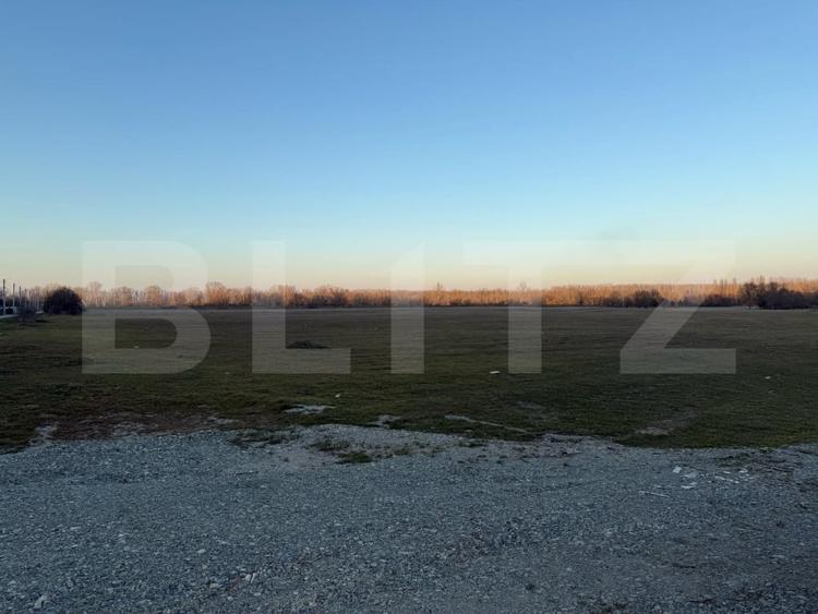 Teren Construcții intravilan de 4307 mp, în Podari