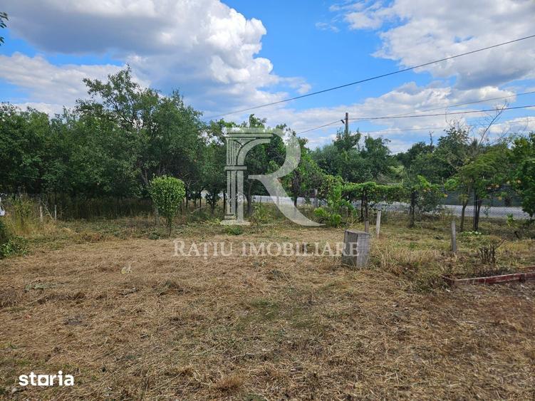 Casă cu 2 camere cu Teren 4348 Mp în Spinuș
