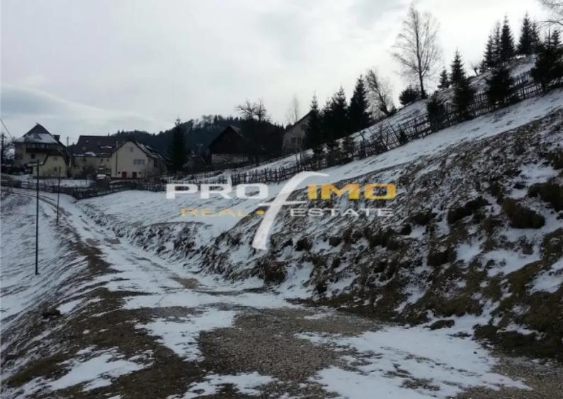 Moeciu, Drumul Carului, teren 3750 mp, 75000 euro - 4