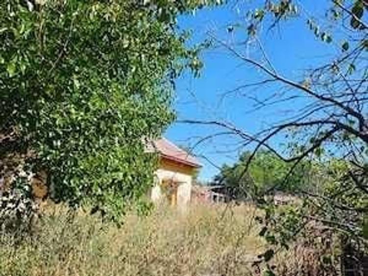 Teren de vanzare + Casa , sat Vartop, Oras Corabia, Olt. - 3