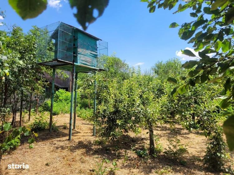 Casă cu 4 camere cu Teren 1300 Mp în Salcia