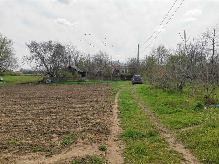 Teren Construcții intravilan de 17800 mp, în Dobrotești