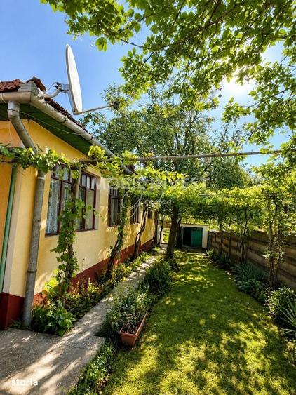 Casă cu 3 camere în Pianu