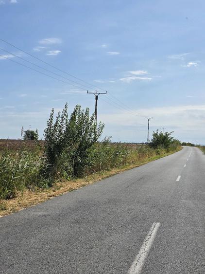 Teren de 20000 mp, în Central