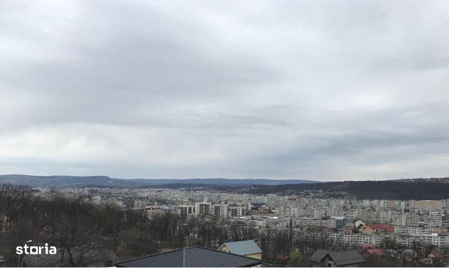 Spațiu comercial, în Albești