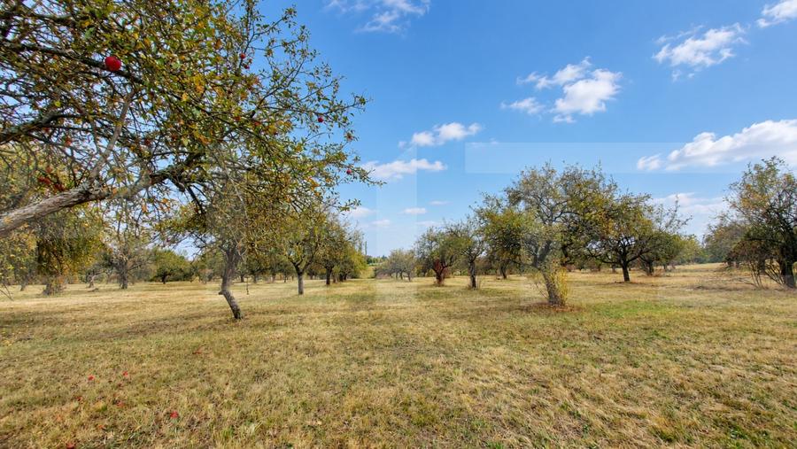Teren agricol extravilan de 1100 mp, în Zălan