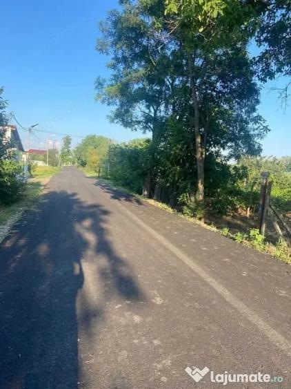 Teren de 1500 mp, în Petrești