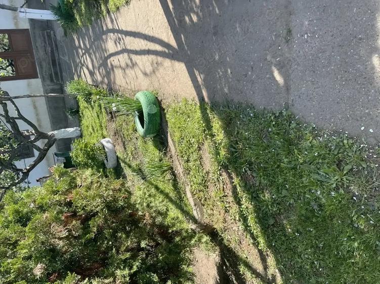 Casă cu 2 camere cu Teren 5500 Mp în Pogana
