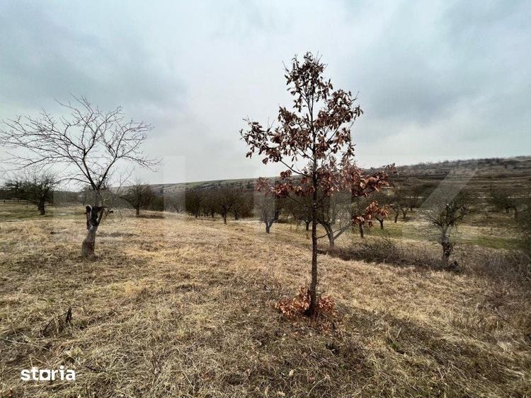 Teren de 5613 mp, în Predești