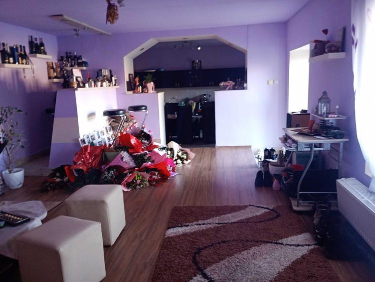 Casă cu 4 camere în Aluniș