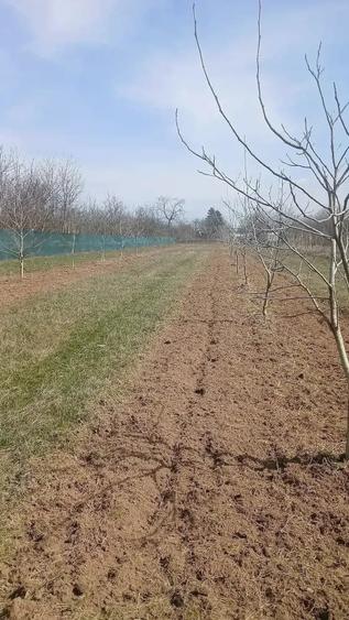 Teren de 3800 mp, în Central
